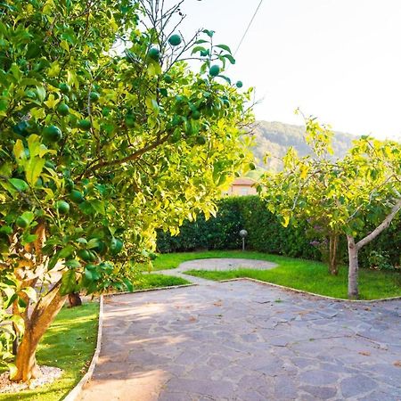 Appartamento La Via Del Mare Rio dellʼElba 外观 照片